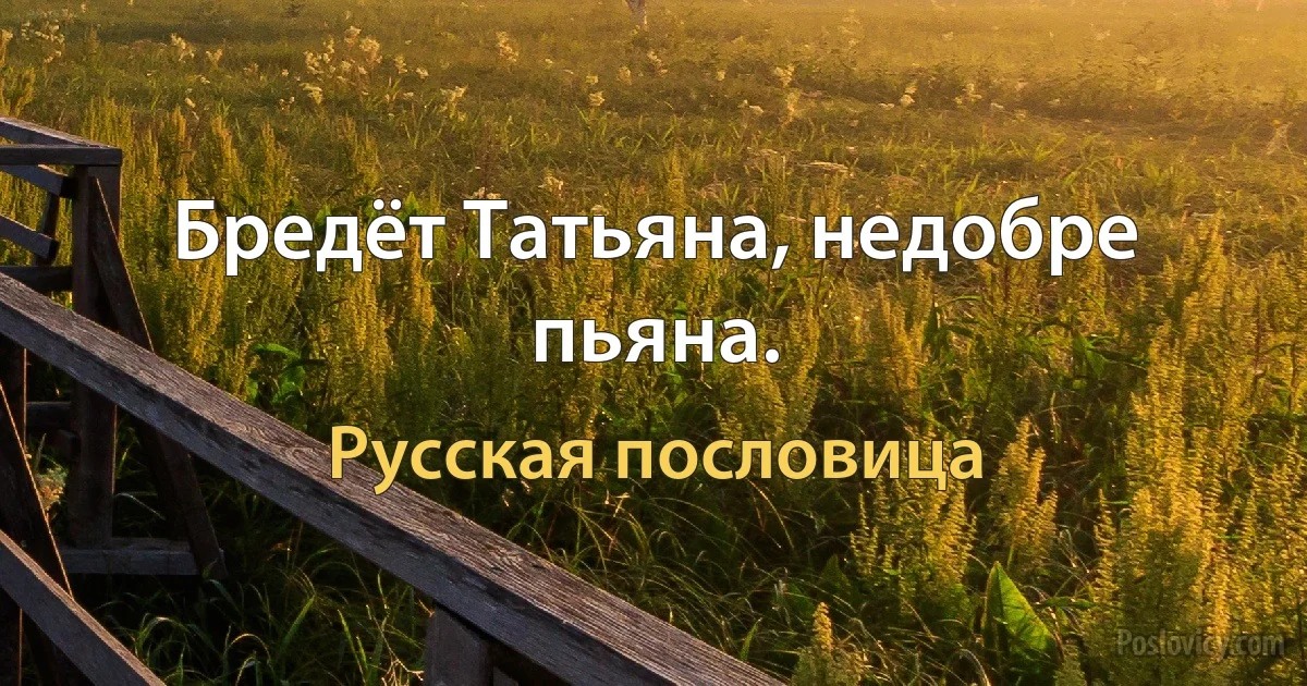 Бредёт Татьяна, недобре пьяна. (Русская пословица)