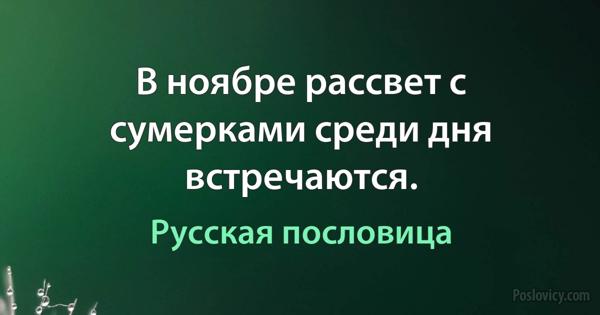 В ноябре рассвет с сумерками среди дня встречаются. (Русская пословица)