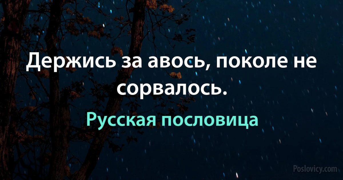 Держись за авось, поколе не сорвалось. (Русская пословица)