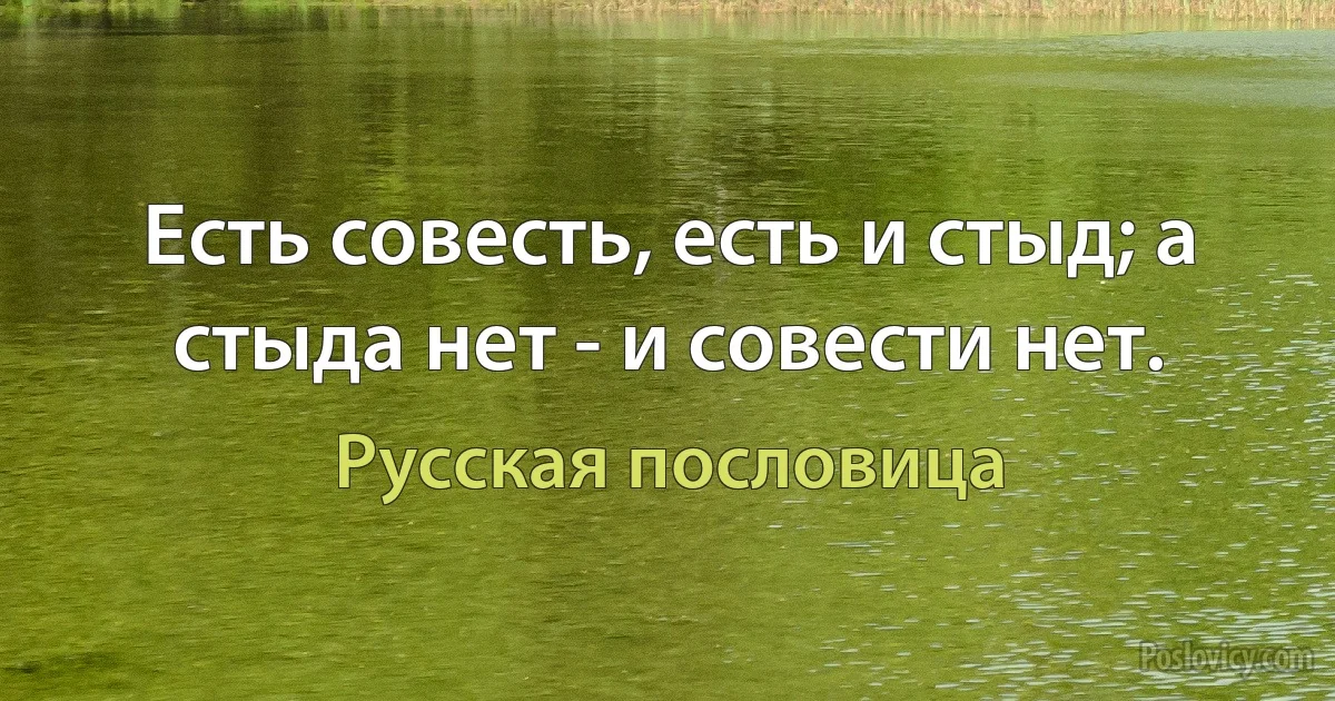 Есть совесть, есть и стыд; а стыда нет - и совести нет. (Русская пословица)