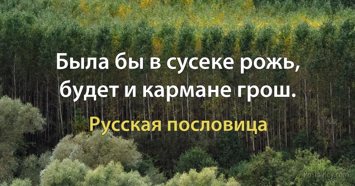 Была бы в сусеке рожь, будет и кармане грош. (Русская пословица)