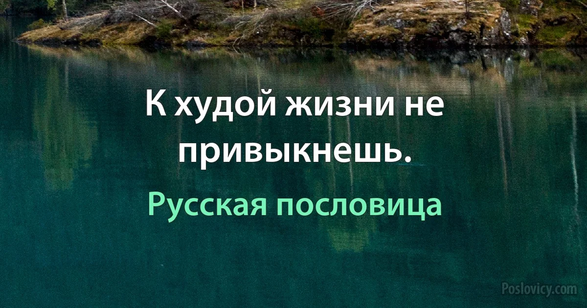 К худой жизни не привыкнешь. (Русская пословица)