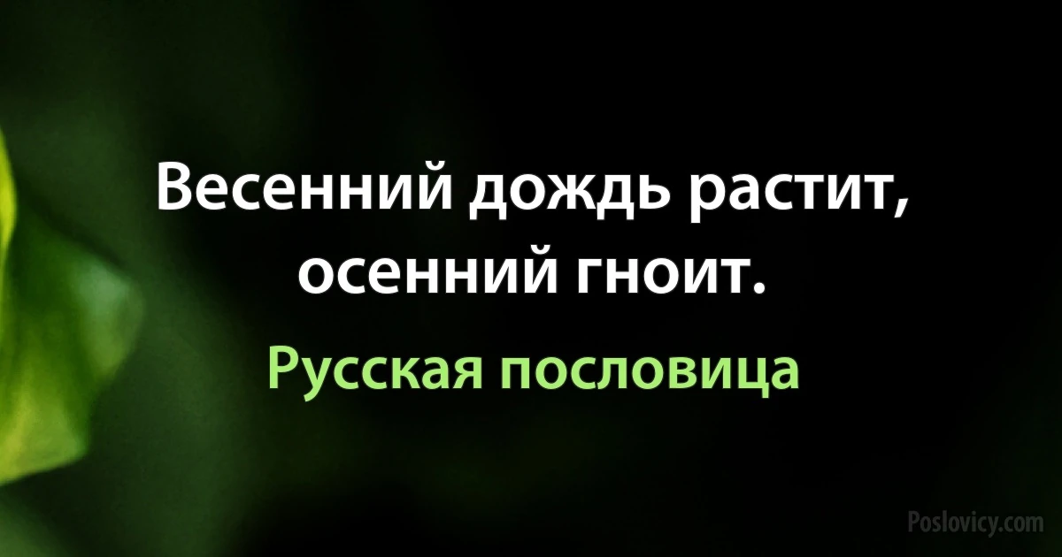 Весенний дождь растит, осенний гноит. (Русская пословица)