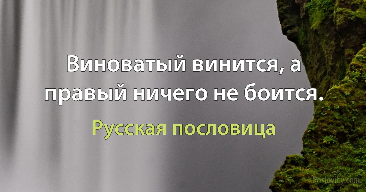 Виноватый винится, а правый ничего не боится. (Русская пословица)