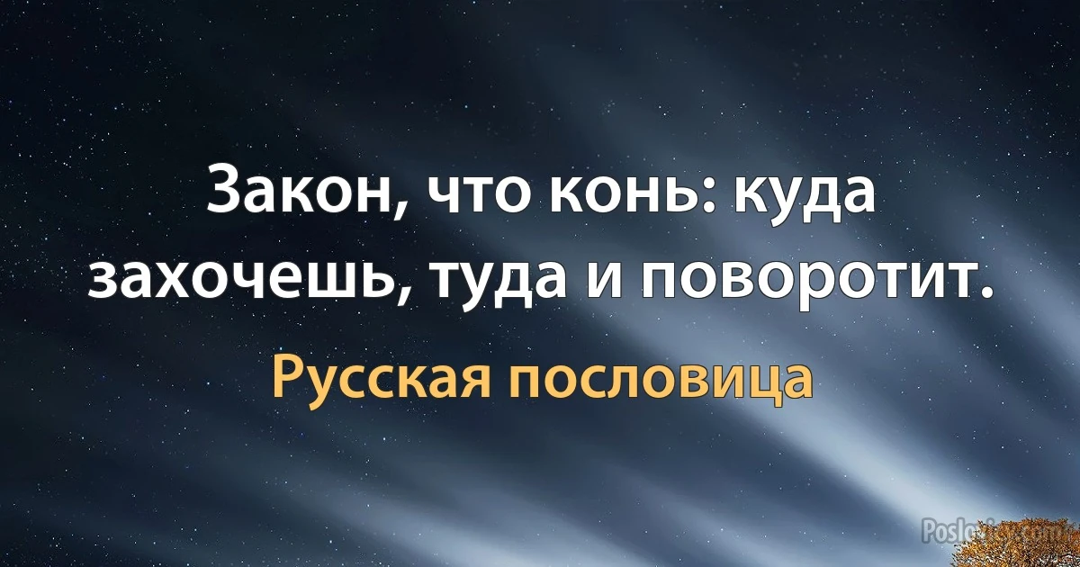 Закон, что конь: куда захочешь, туда и поворотит. (Русская пословица)