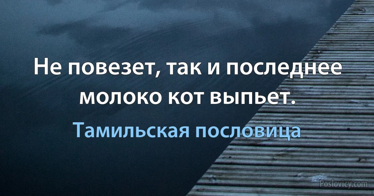 Не повезет, так и последнее молоко кот выпьет. (Тамильская пословица)