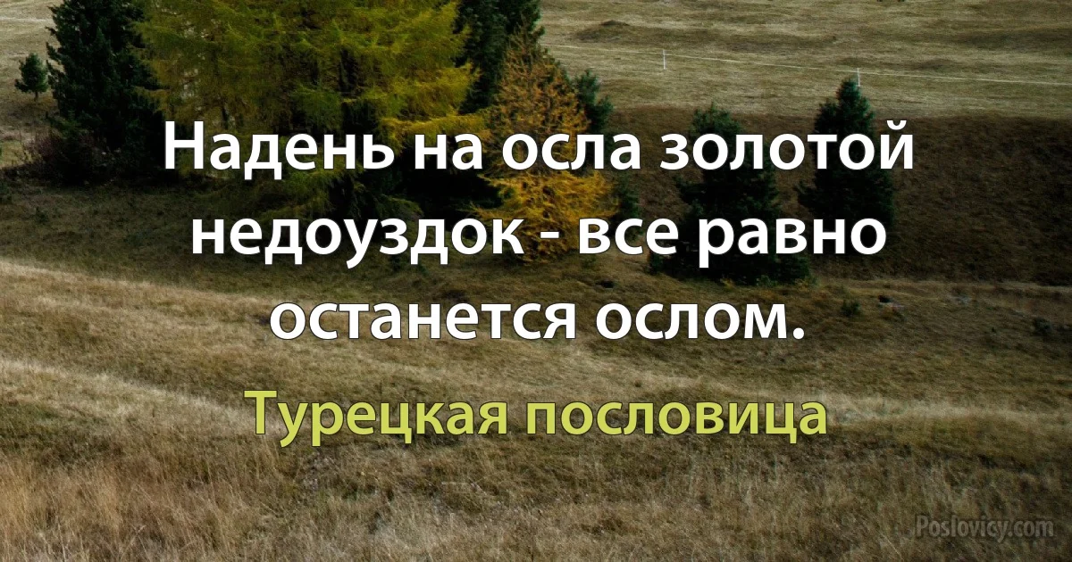 Надень на осла золотой недоуздок - все равно останется ослом. (Турецкая пословица)