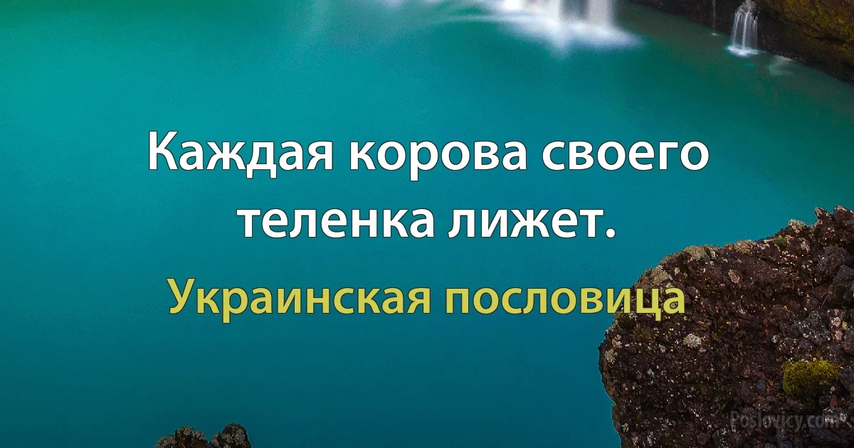 Каждая корова своего теленка лижет. (Украинская пословица)