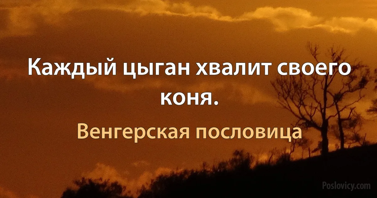 Каждый цыган хвалит своего коня. (Венгерская пословица)